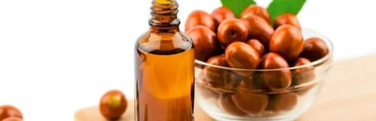 DISCOVER THE BENEFITS OF JOJOBA OIL