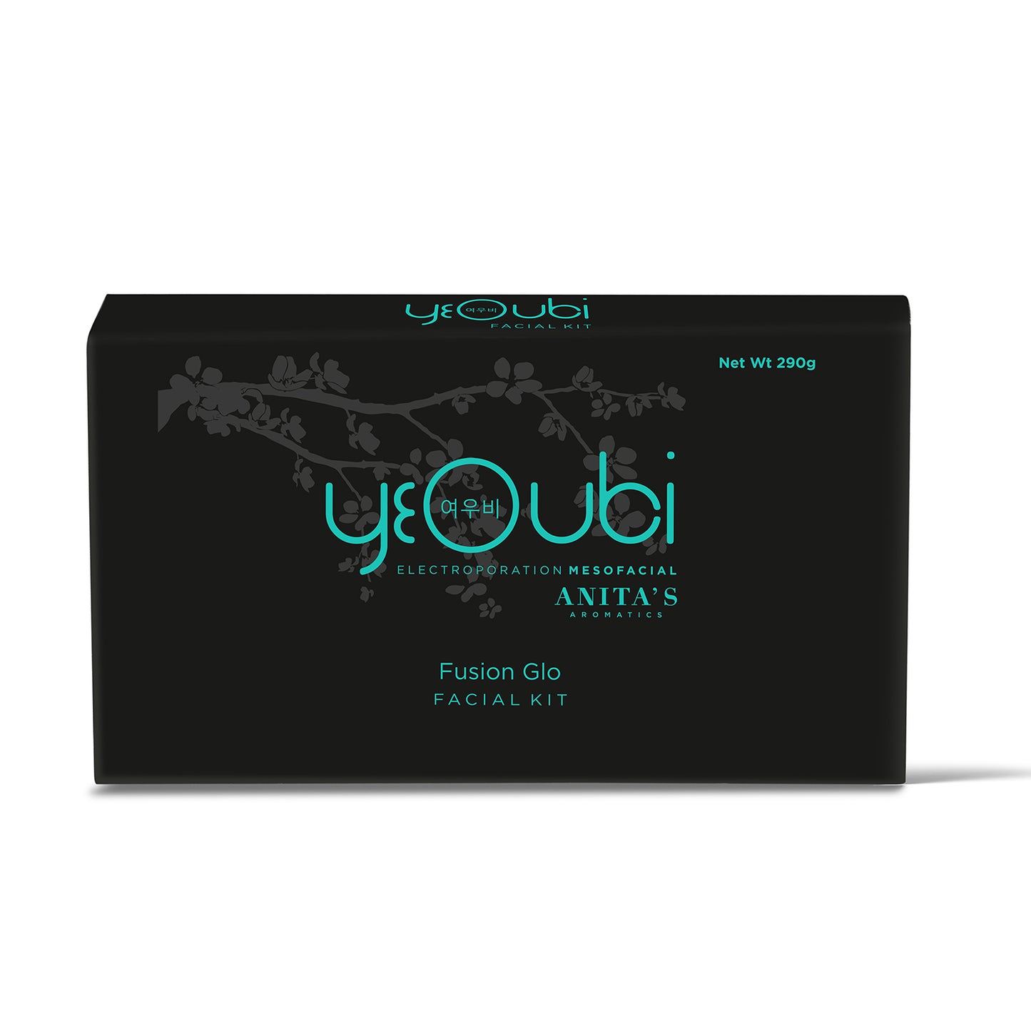 Fusion Glo Facial Kit