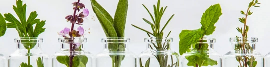 ESSENTIAL OILS – THE BEAUTY SAVIOR