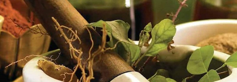 AYURVEDA- YOUR BODY’S BEST FRIEND