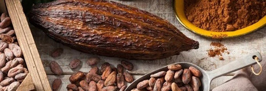 THEOBROMA CACAO: A SUPER INGREDIENT